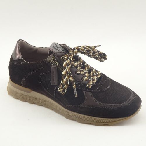 DLSport SNEAKER BRUIN
