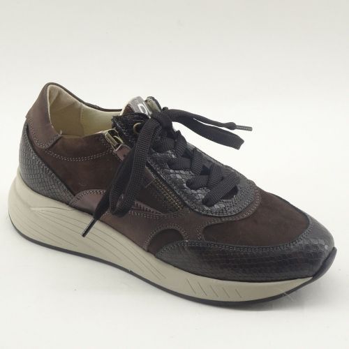 DLSport SNEAKER BRUIN