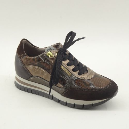 DLSport SNEAKER BRUIN