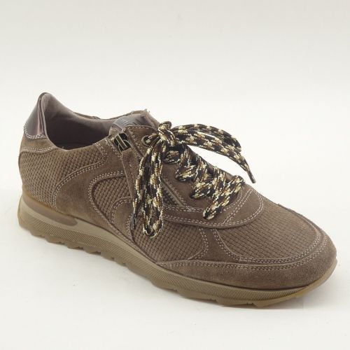 DLSport SNEAKER TAUPE