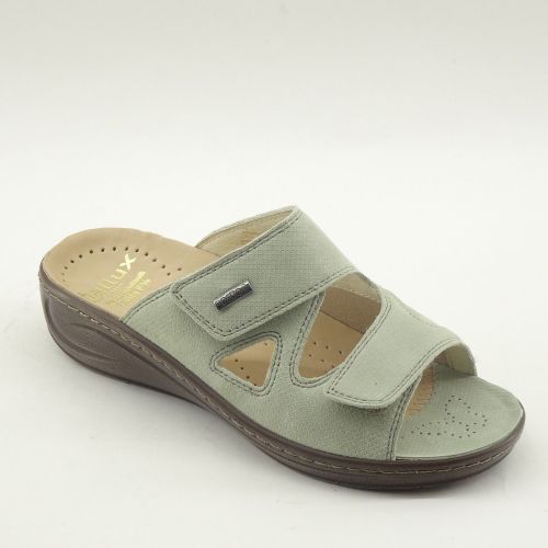 FIDELIO MUILTJE GROEN