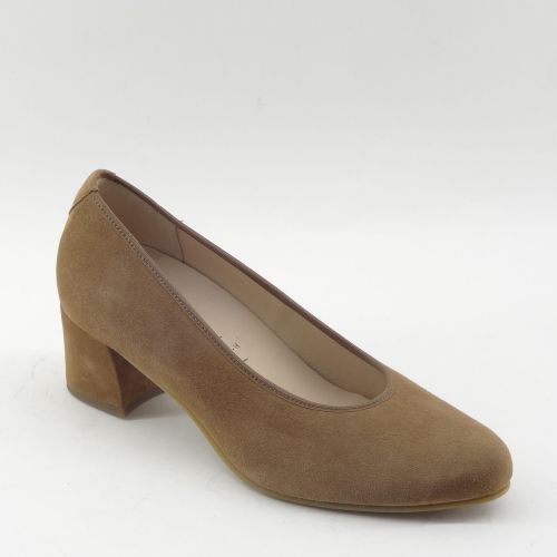 HASSIA PUMP CAMEL