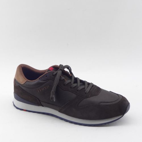 LLOYD SNEAKER BRUIN