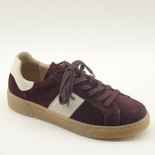 NERO GIARDINI SNEAKER BORDEAUX