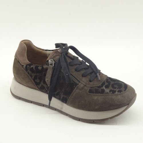 PAUL GREEN SNEAKER BRUIN