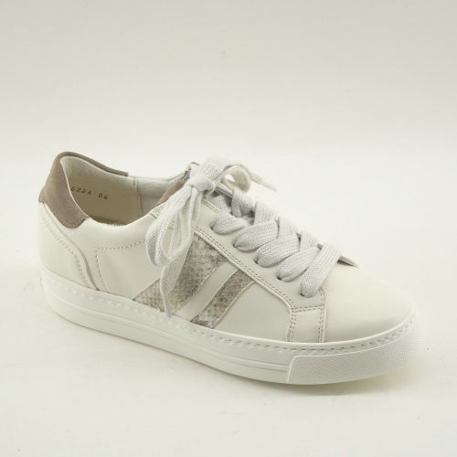 PAUL GREEN SNEAKER WIT