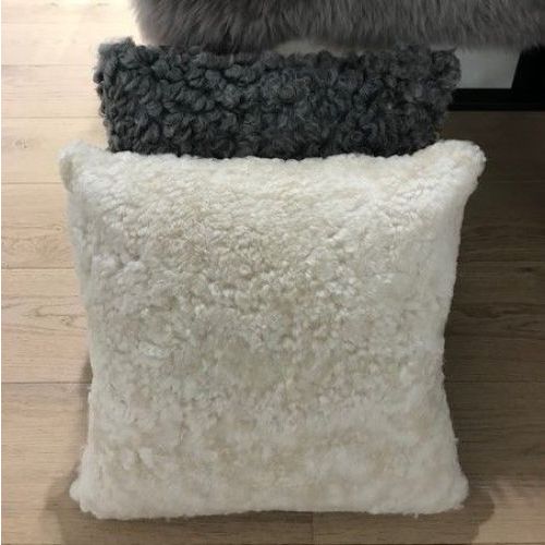 SHEPHERD DIVERSEN DIVERSE