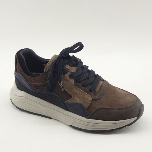 XSENSIBLE SNEAKER BRUIN